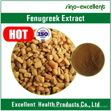 Common Fenugreek Seed Semen Trigonellae Extract
